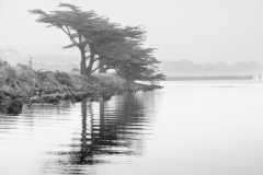 Bay Flat Road