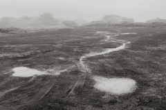 Tracks_